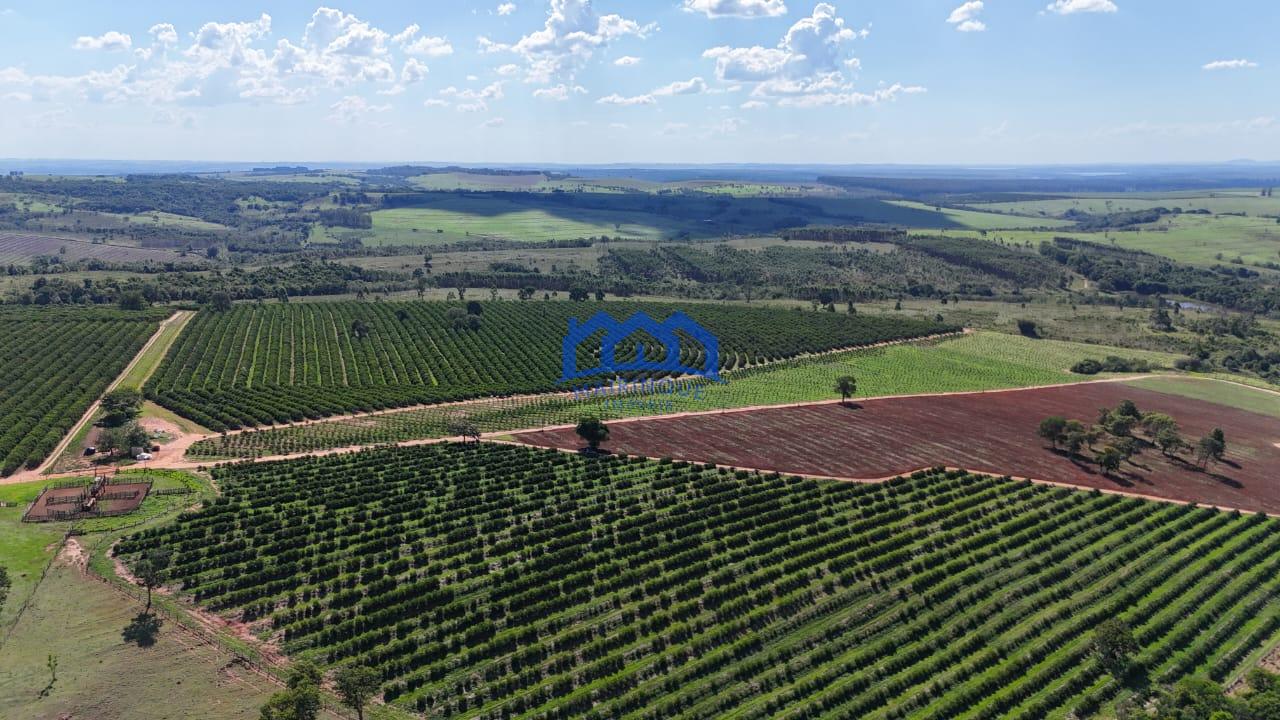 WhatsApp Image 2026-03-31 at 15.07.23 (4)