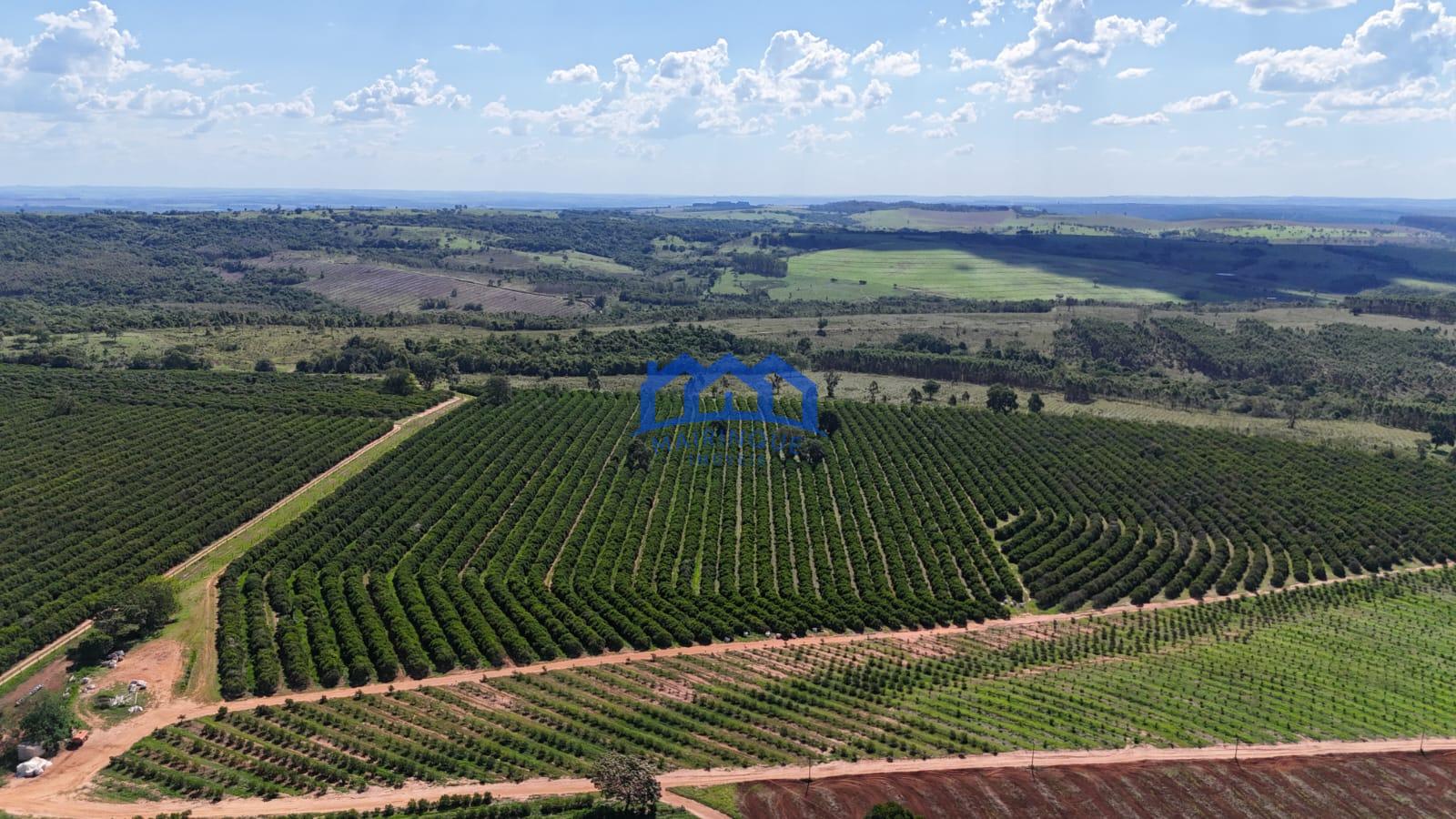 WhatsApp Image 2026-03-31 at 15.07.24 (2)