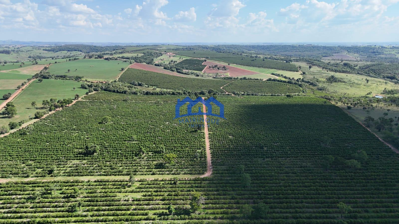 WhatsApp Image 2026-03-31 at 15.07.24 (3)