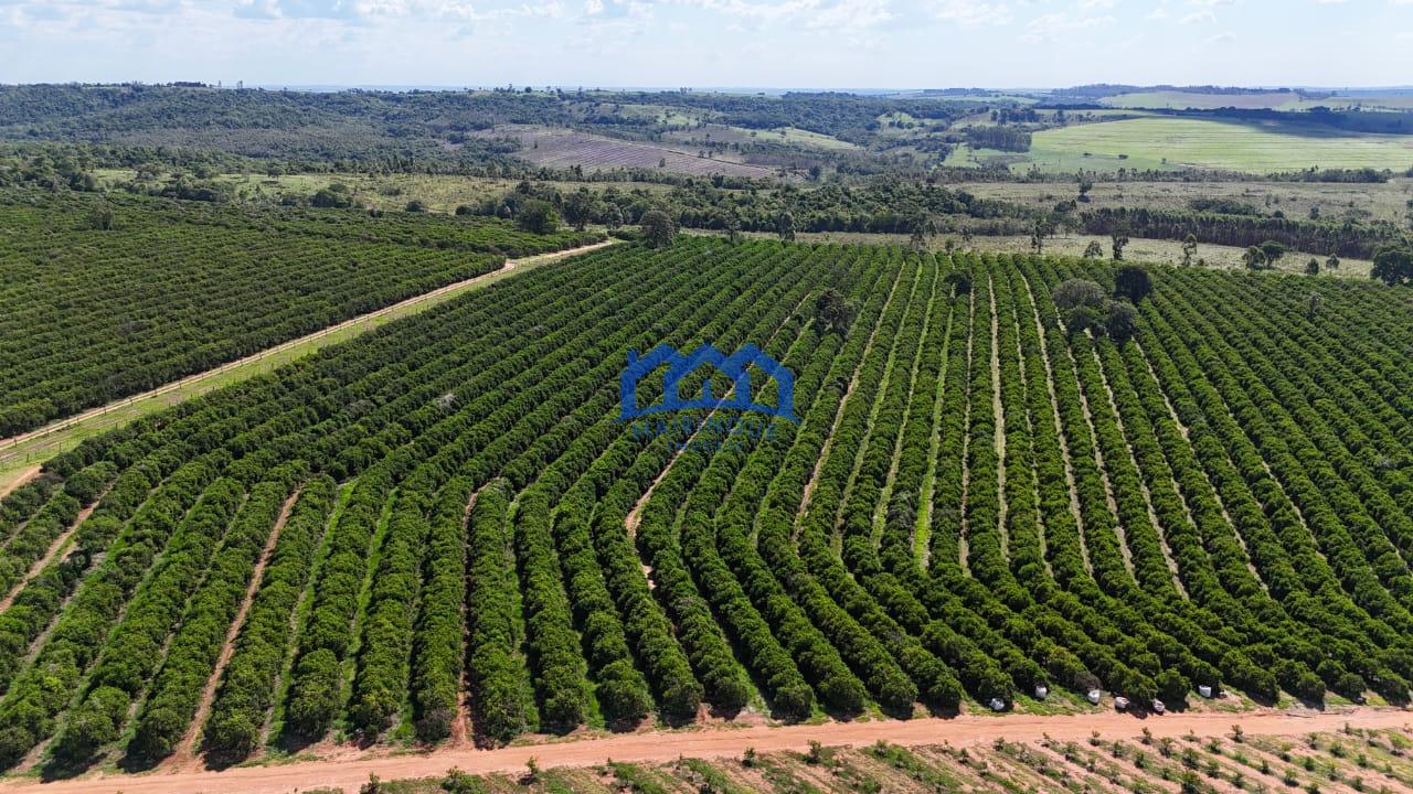 WhatsApp Image 2026-03-31 at 15.07.24 (4)