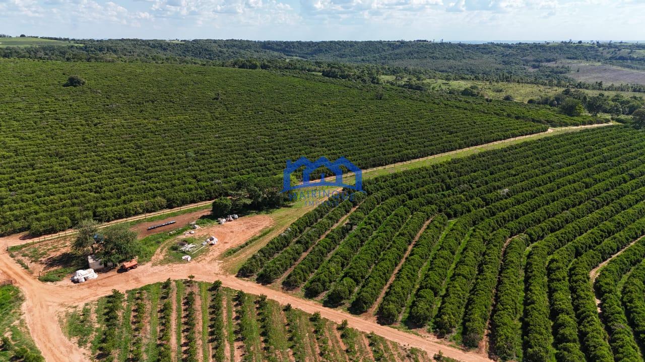 WhatsApp Image 2026-03-31 at 15.07.24