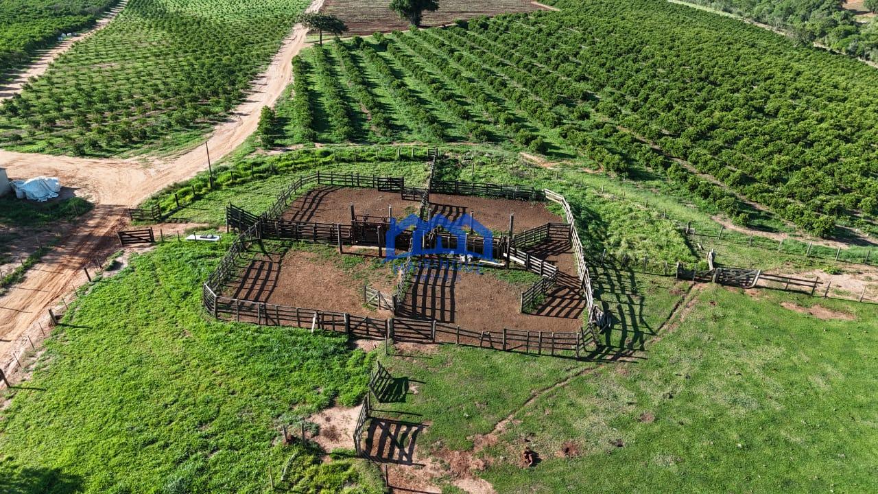 WhatsApp Image 2026-03-31 at 15.07.25 (2)