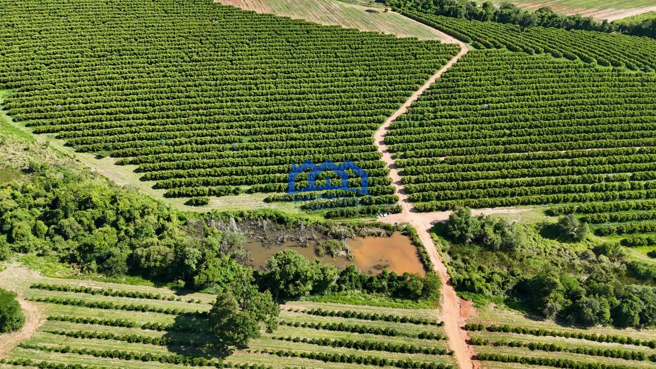 WhatsApp Image 2026-03-31 at 15.07.25 (3)