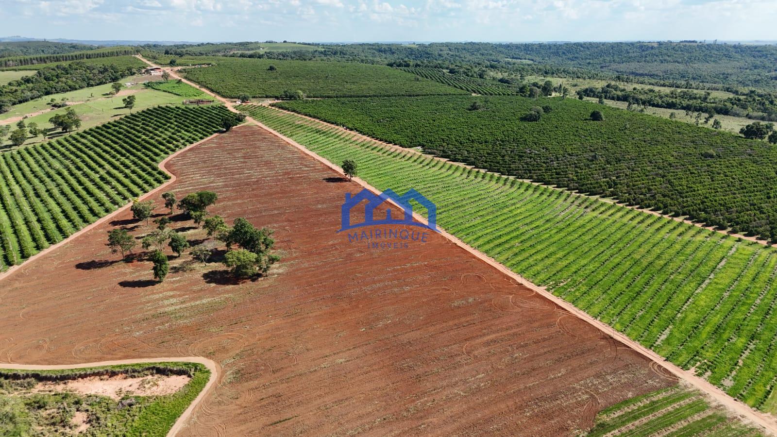 WhatsApp Image 2026-03-31 at 15.07.25 (5)