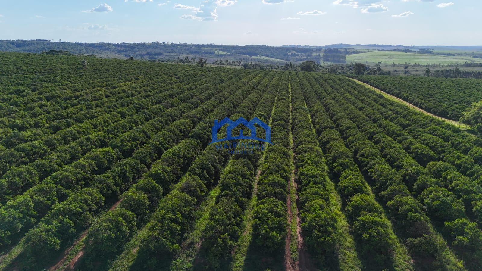 WhatsApp Image 2026-03-31 at 15.07.25