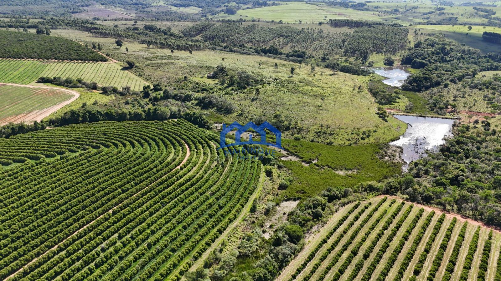 WhatsApp Image 2026-03-31 at 15.07.26 (1)