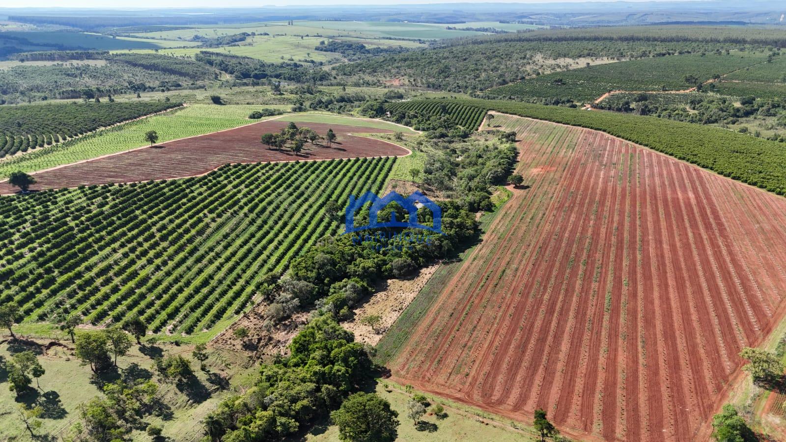 WhatsApp Image 2026-03-31 at 15.07.26