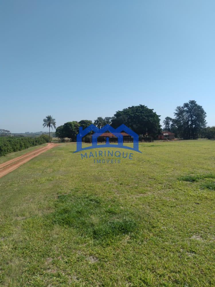 WhatsApp Image 2026-04-16 at 17.03.19 (1)