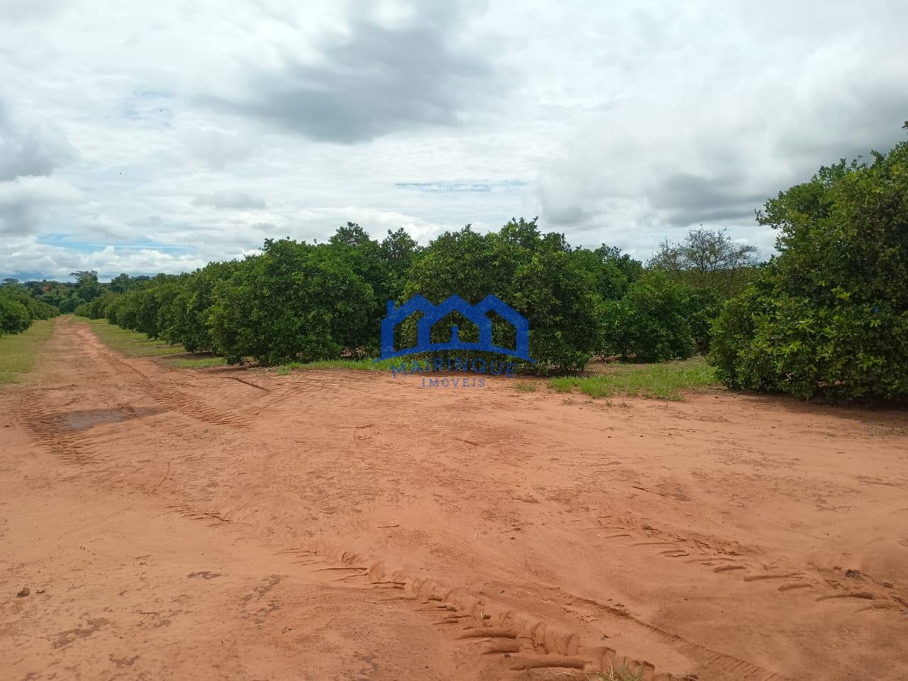 WhatsApp Image 2026-04-16 at 17.03.19 (2)