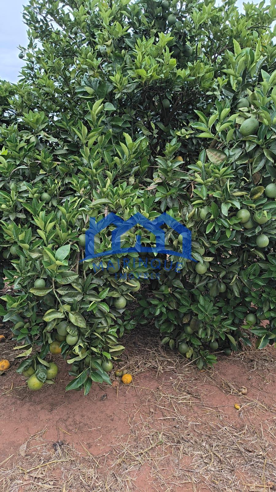 WhatsApp Image 2026-04-16 at 17.03.19