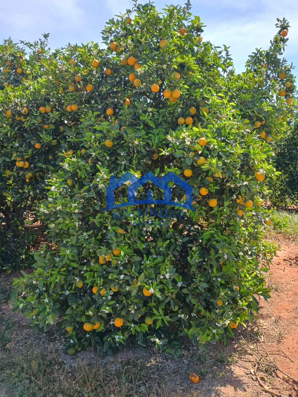 WhatsApp Image 2026-04-16 at 17.03.20 (1)