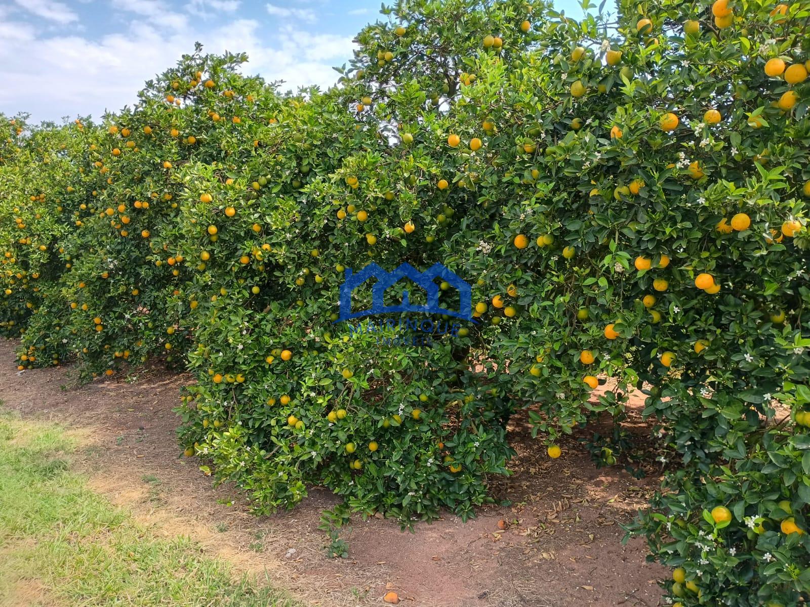 WhatsApp Image 2026-04-16 at 17.03.20 (2)