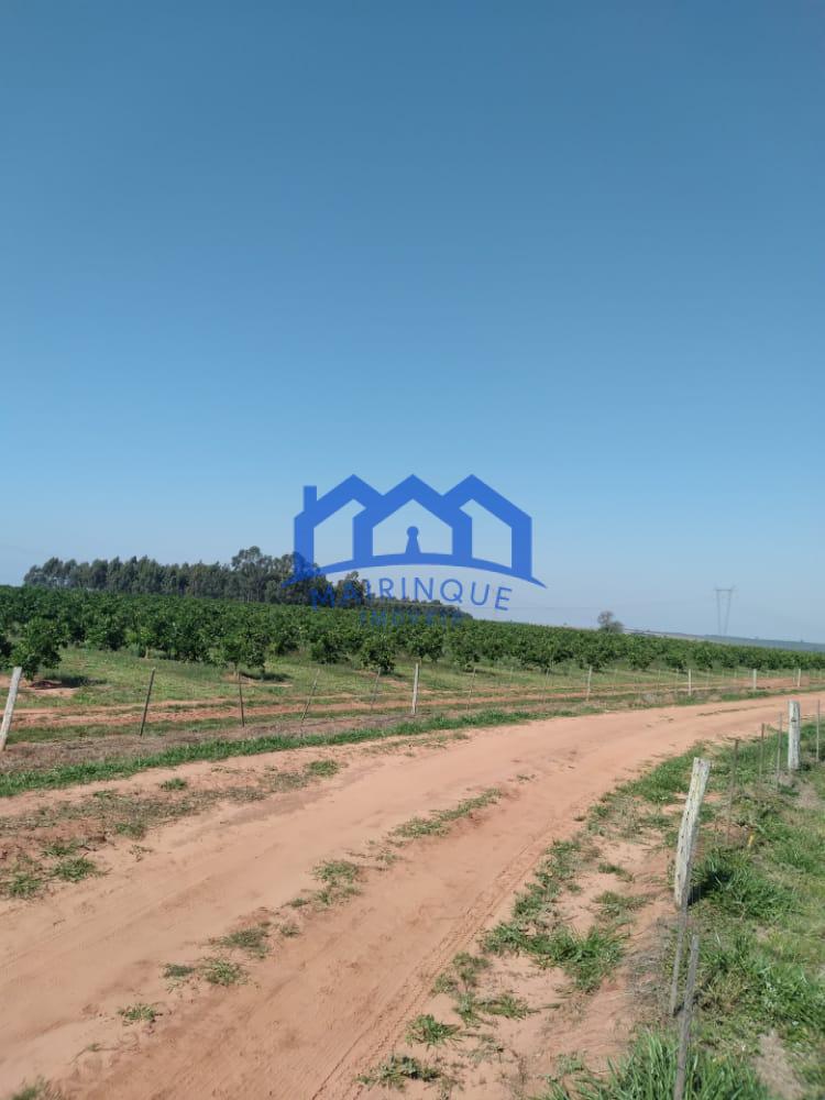 WhatsApp Image 2026-04-16 at 17.03.20