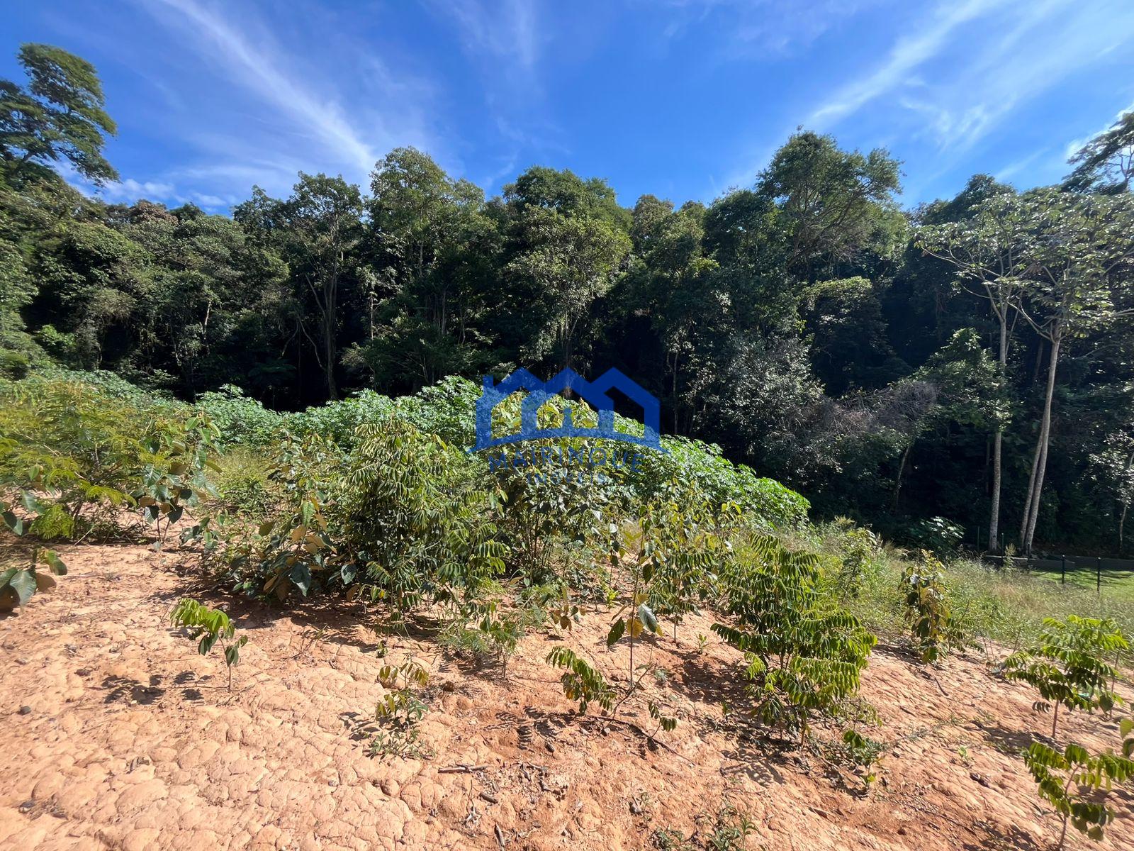 WhatsApp Image 2026-04-23 at 13.00.54 (3)