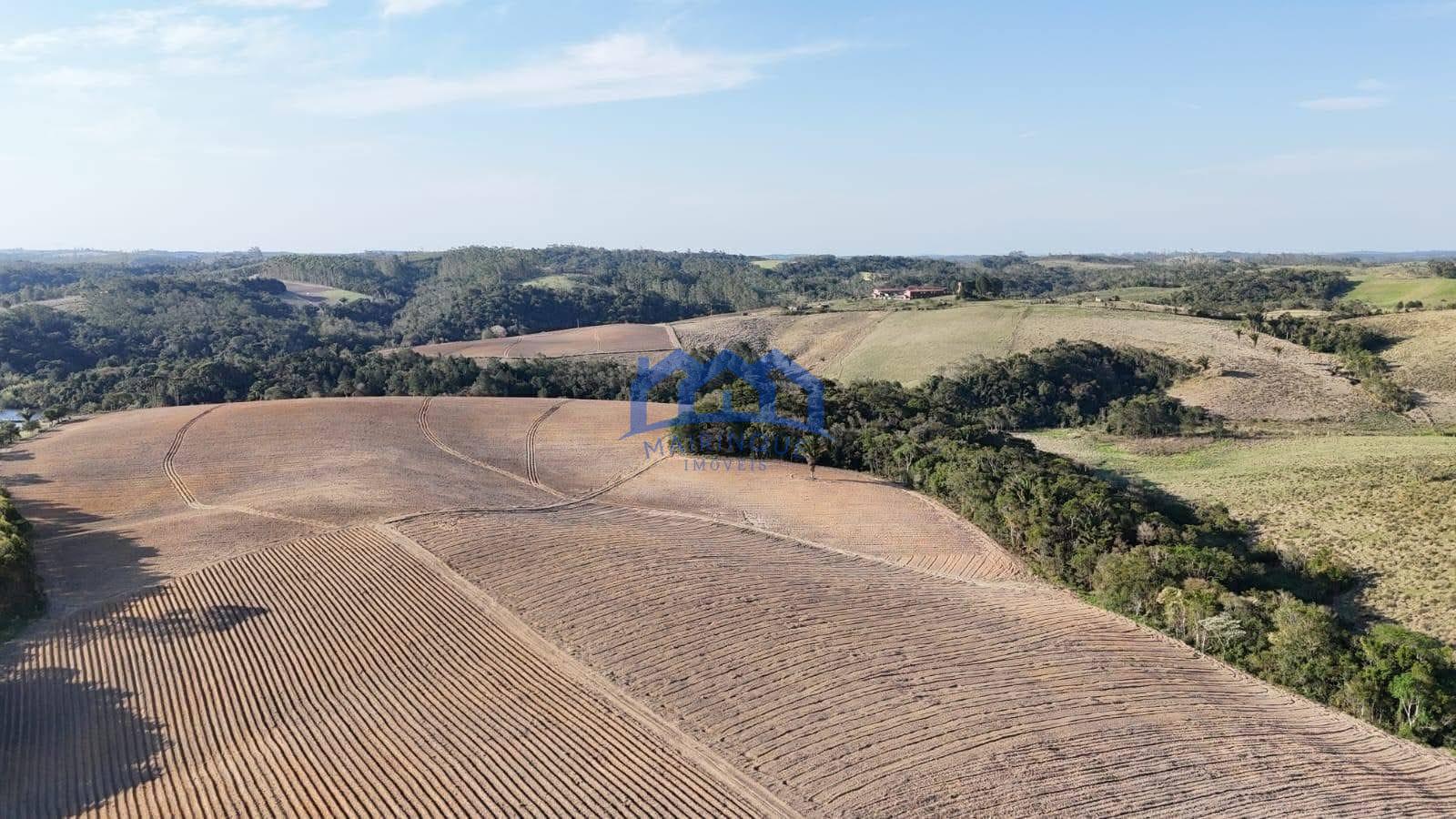 WhatsApp Image 2026-08-07 at 15.04.22 (2)